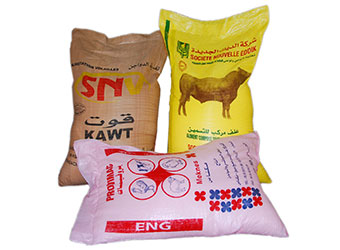 PP Woven Bags - Veeshna PolyPack Pvt. Ltd.